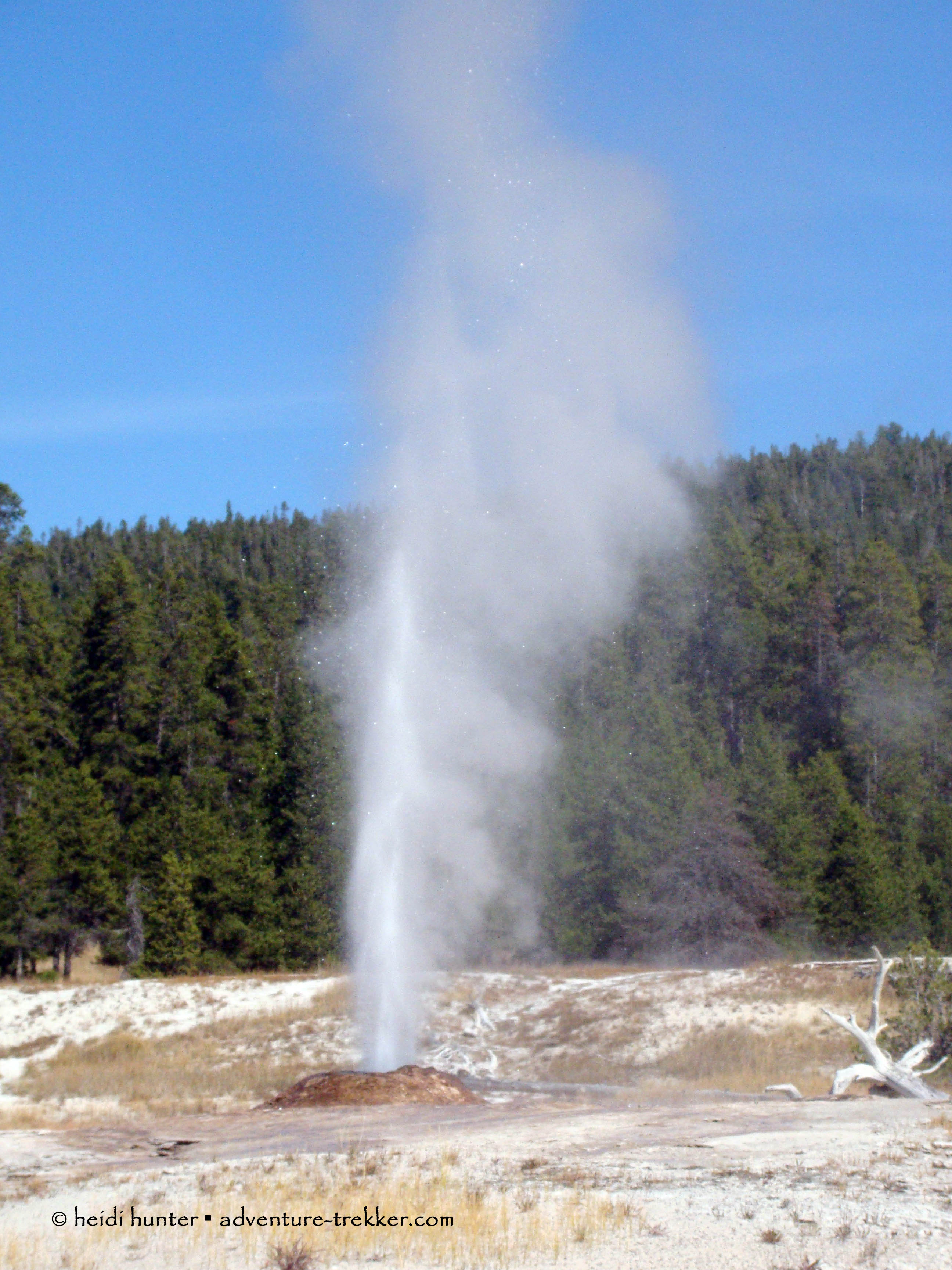 yellowstone firehole lake drive pink cone geyser (16)