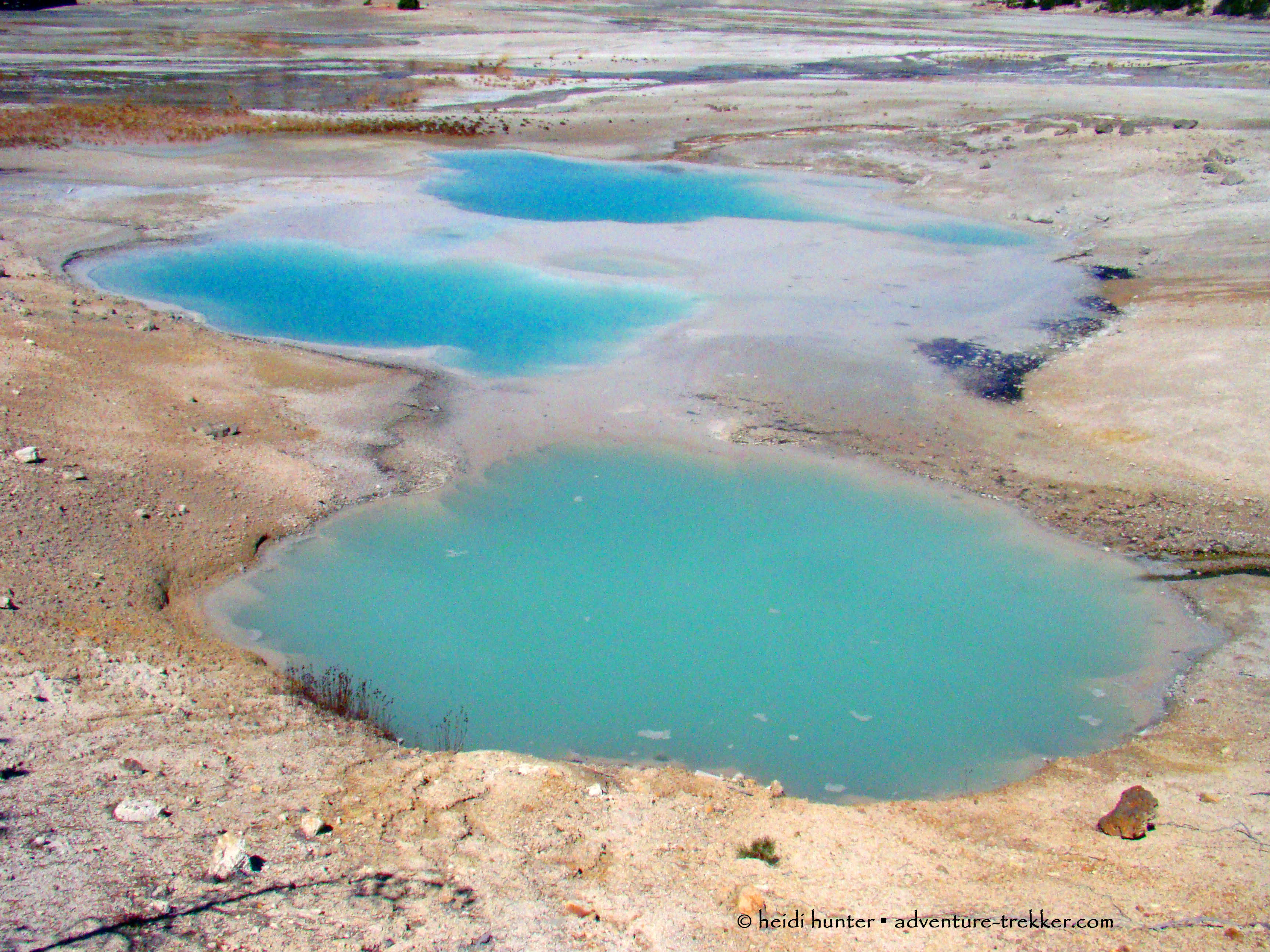yellowstone norris geyser basin (10) 2