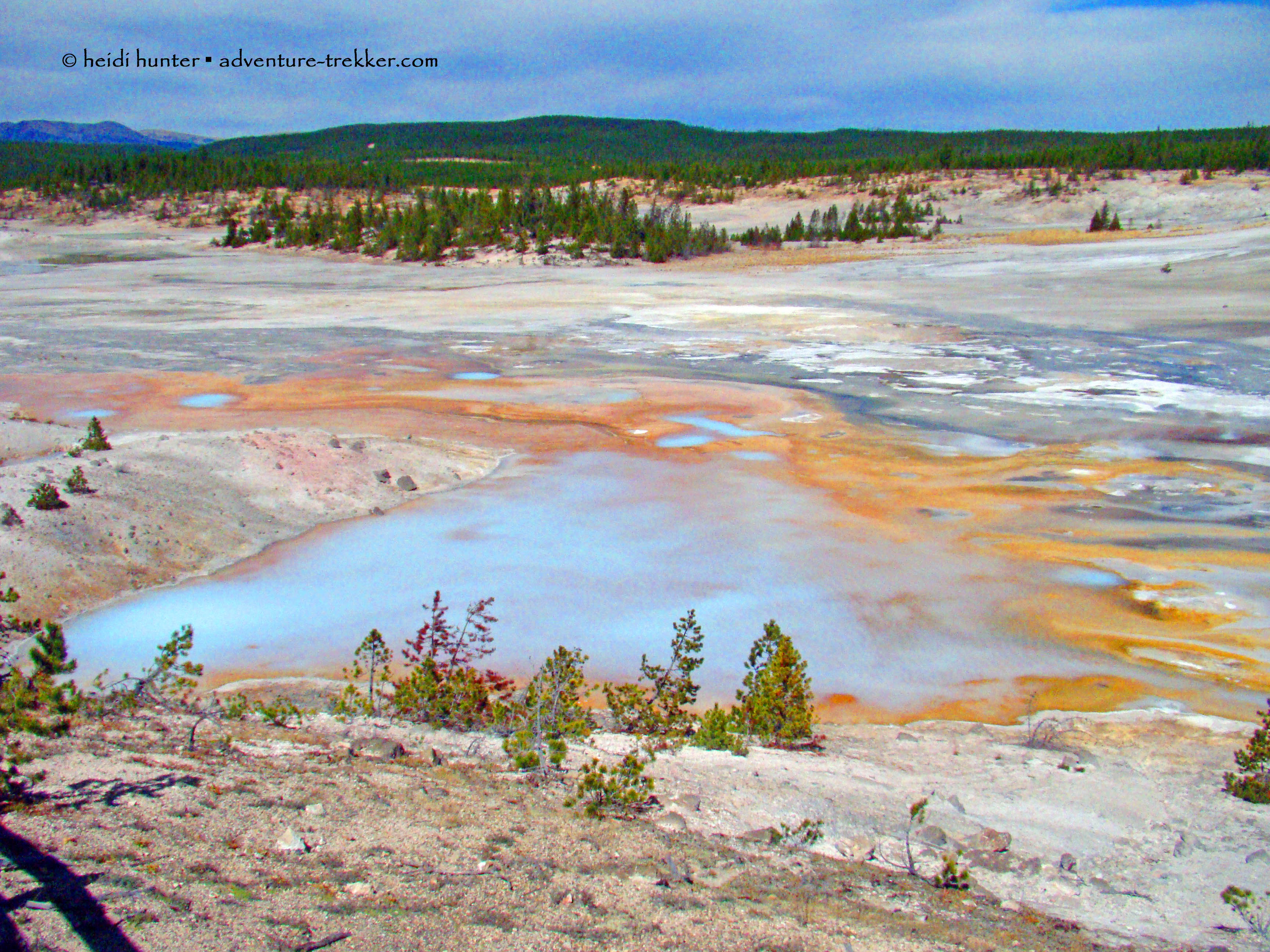 yellowstone norris geyser basin (38) 2
